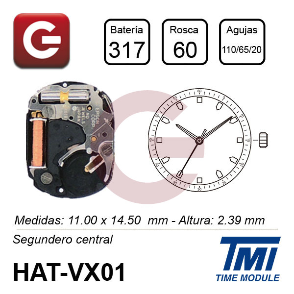 HATTORY VX01