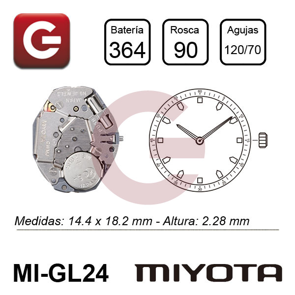 MIYOTA GL24