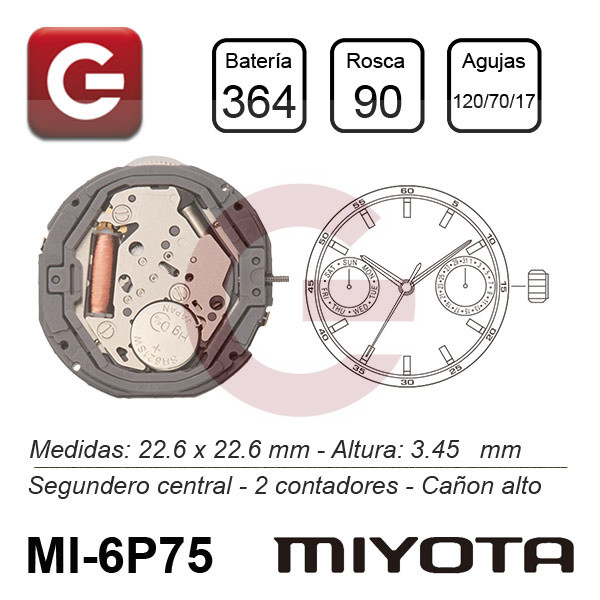 MIYOTA 6P75
