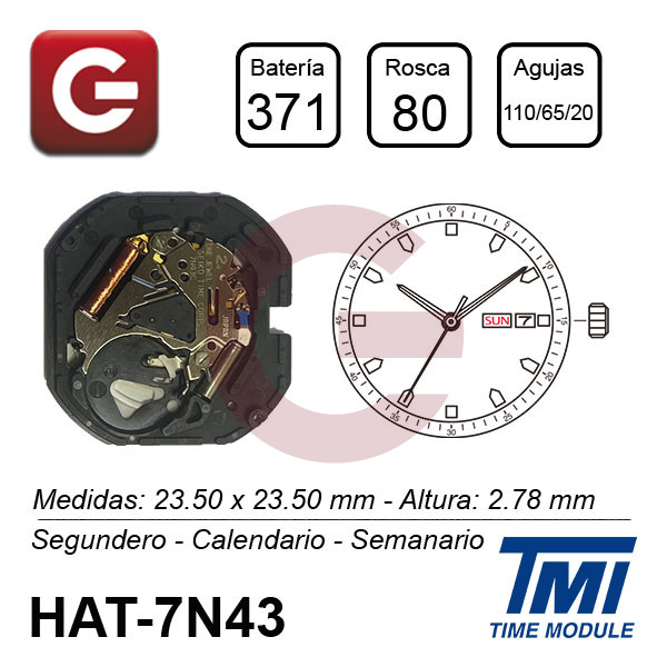 HATTORY 7N43